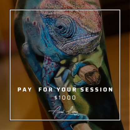 Pay for your 1 Day Session